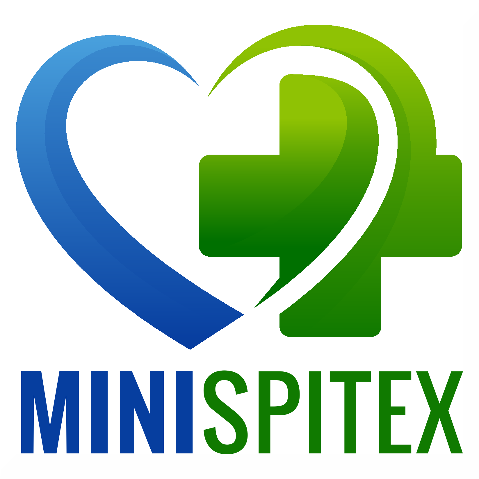 Logo Mini Spitex GmbH