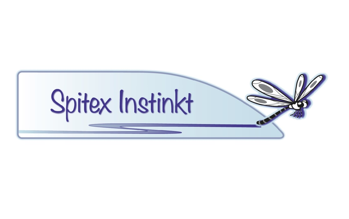 Logo Spitex Instinkt