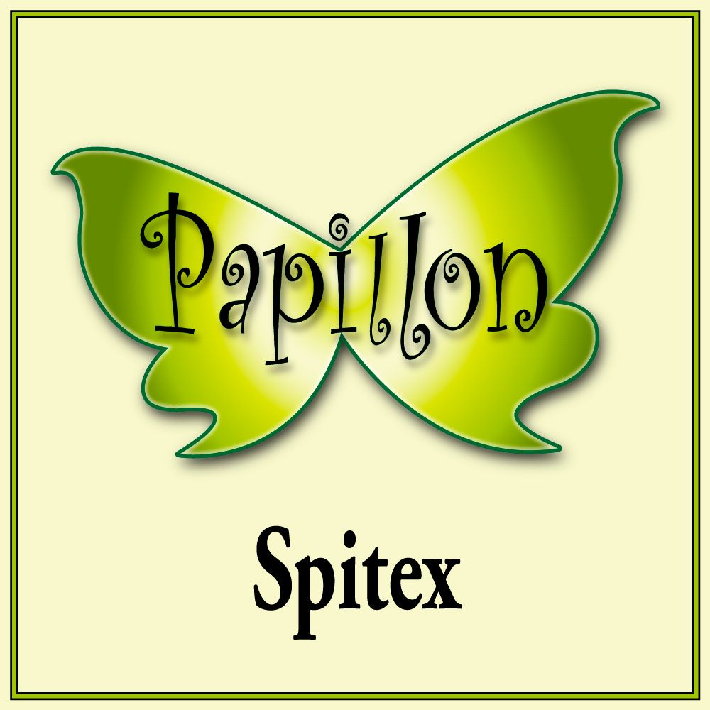 Logo Spitex Papillon GmbH